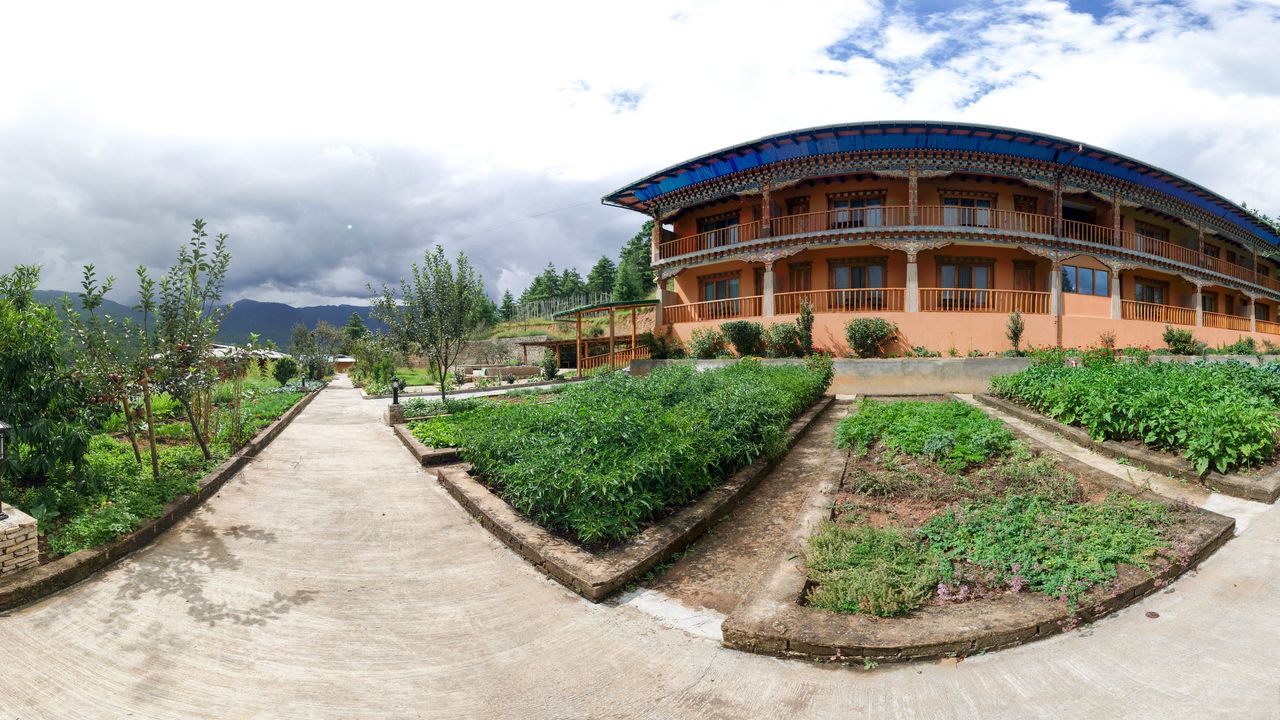 360-degree preview of the vegetable garden