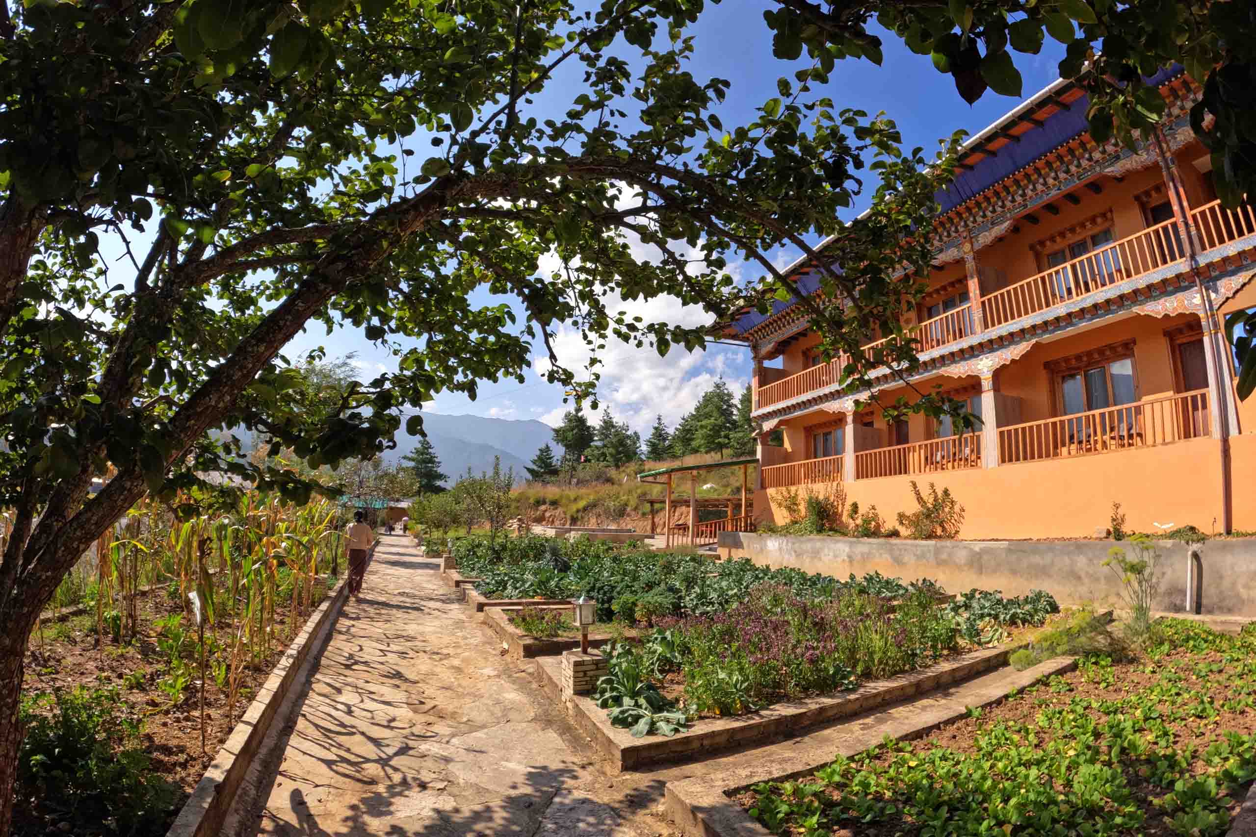 Rema Resort overlooking the Paro Valley